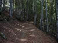 Le Puy en Velay